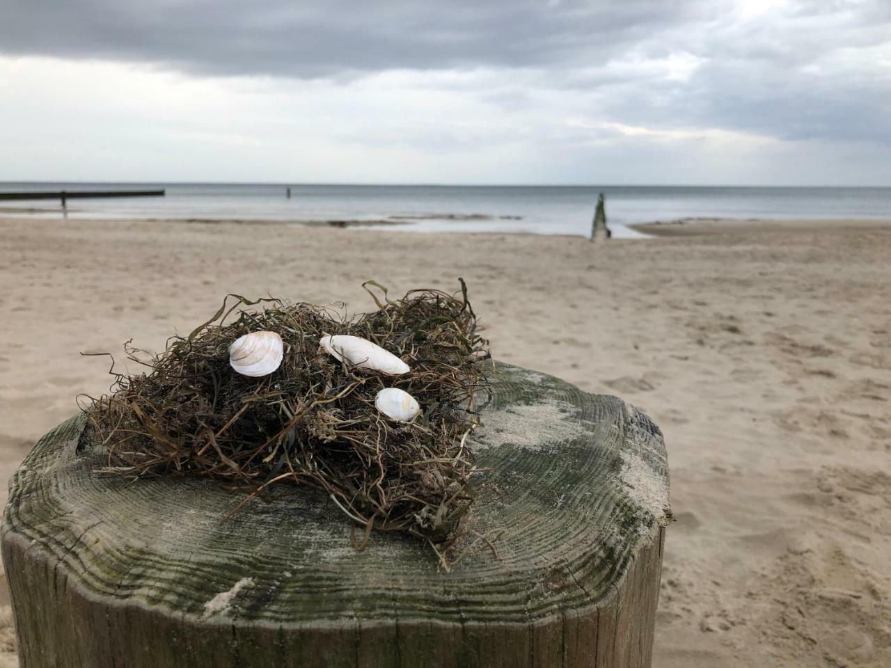 Ferienwohnung Strandnah Zempin Buitenkant foto