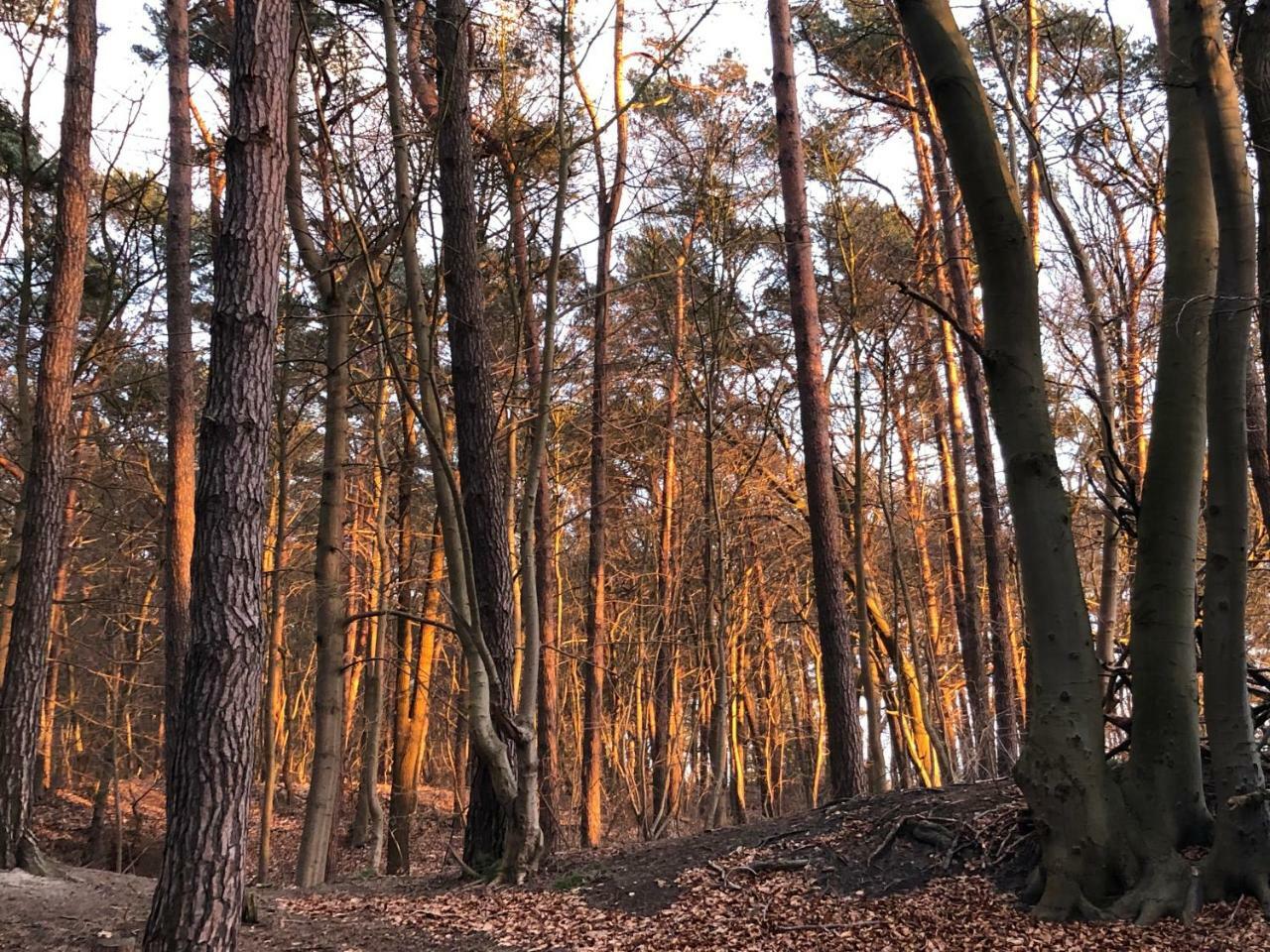 Ferienwohnung Strandnah Zempin Buitenkant foto